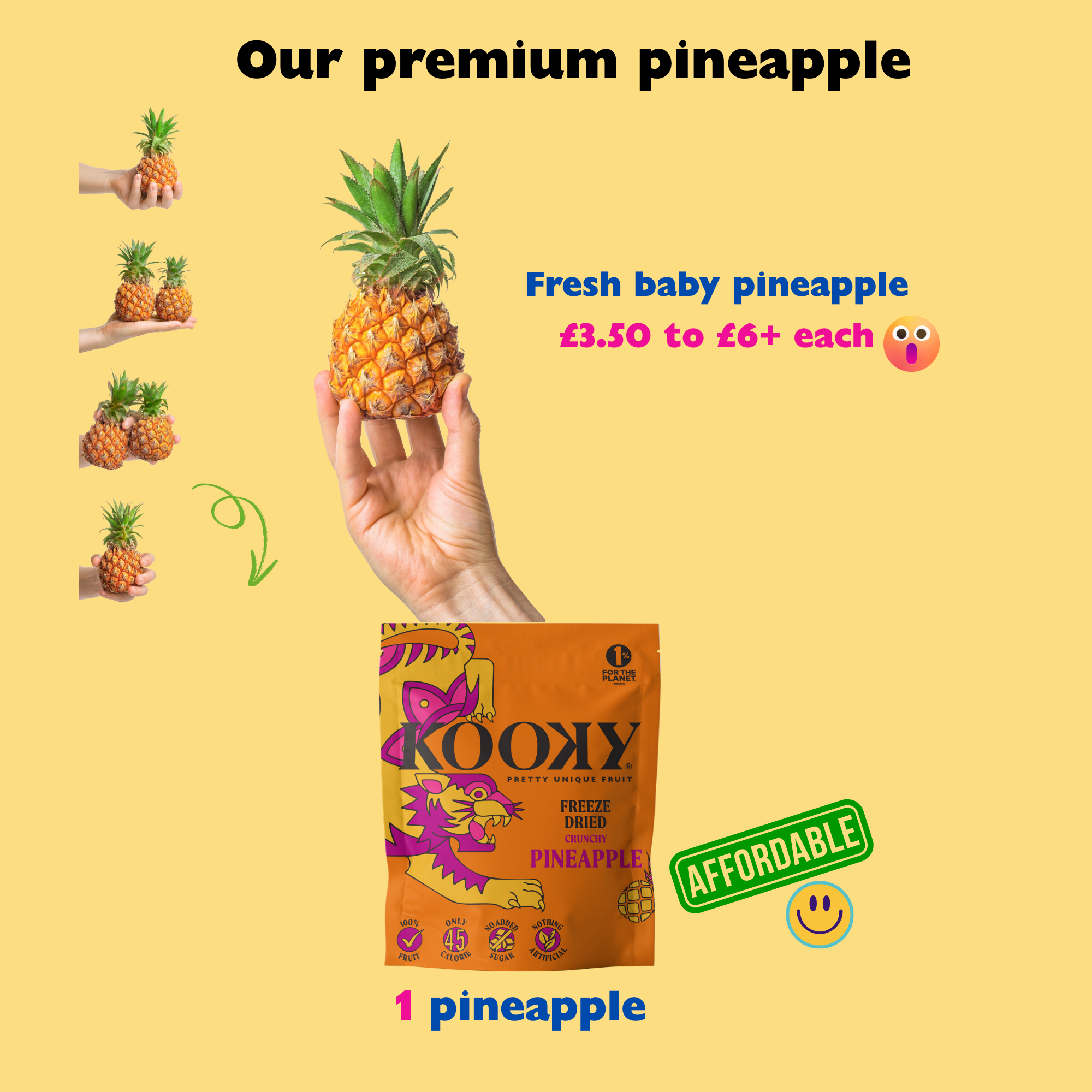 12pk - Freeze Dried Pineapple