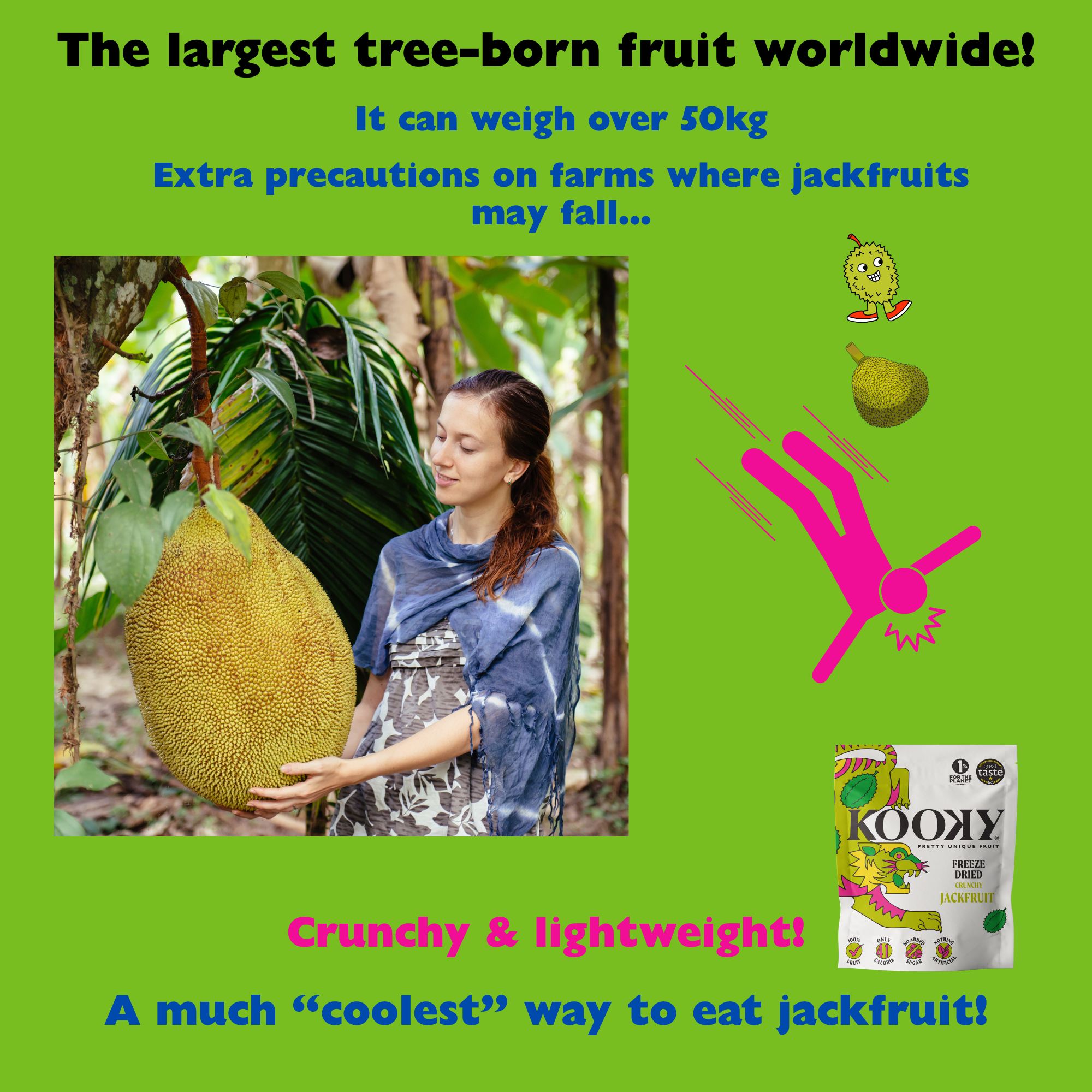 Freeze Dried Jackfruit - 2 sizes