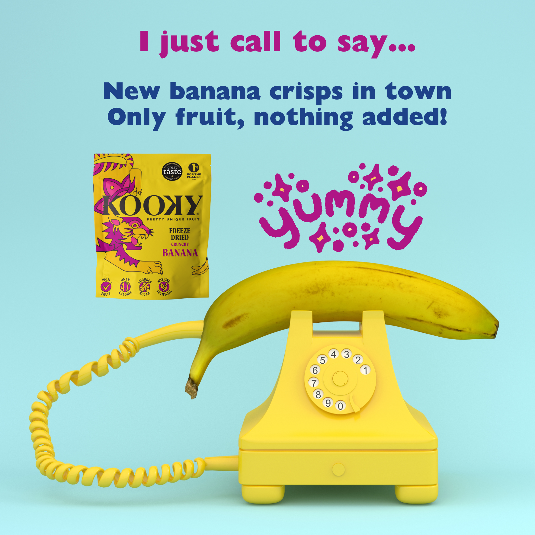 12pk - Freeze Dried Banana
