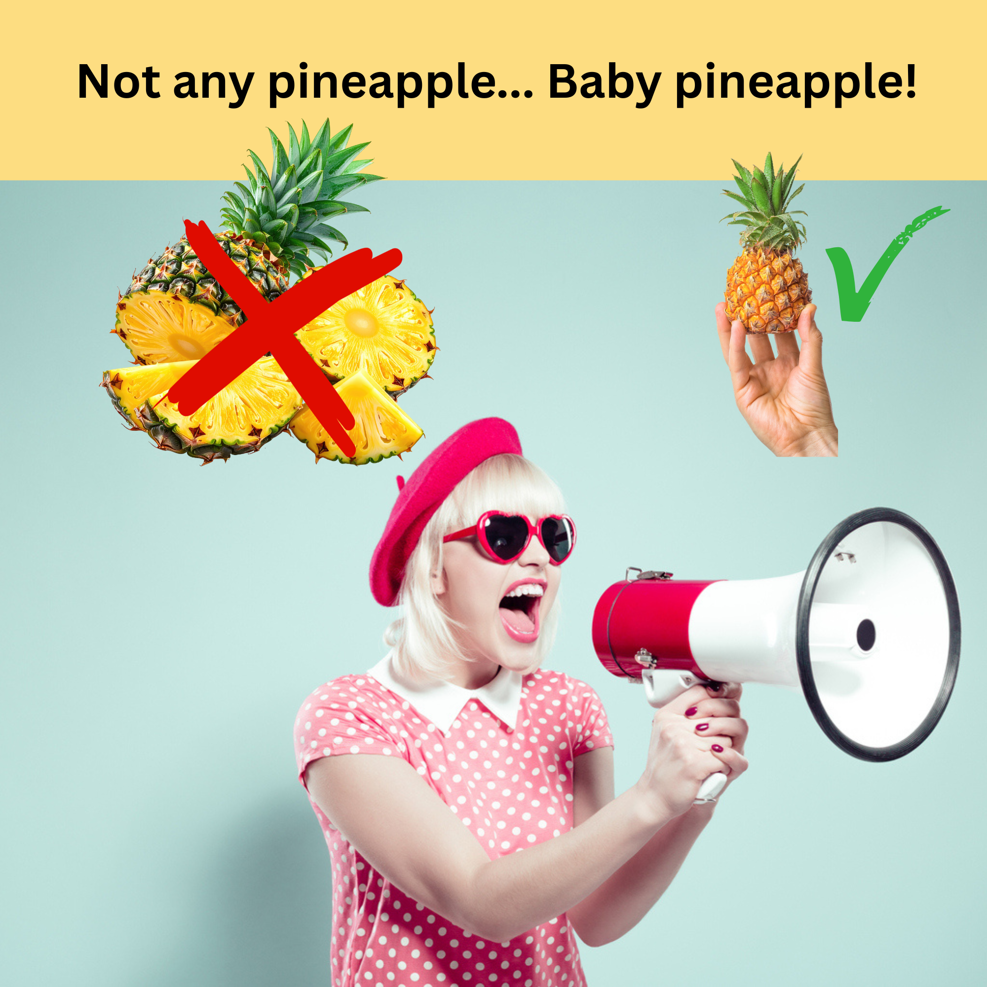 12pk - Freeze Dried Pineapple