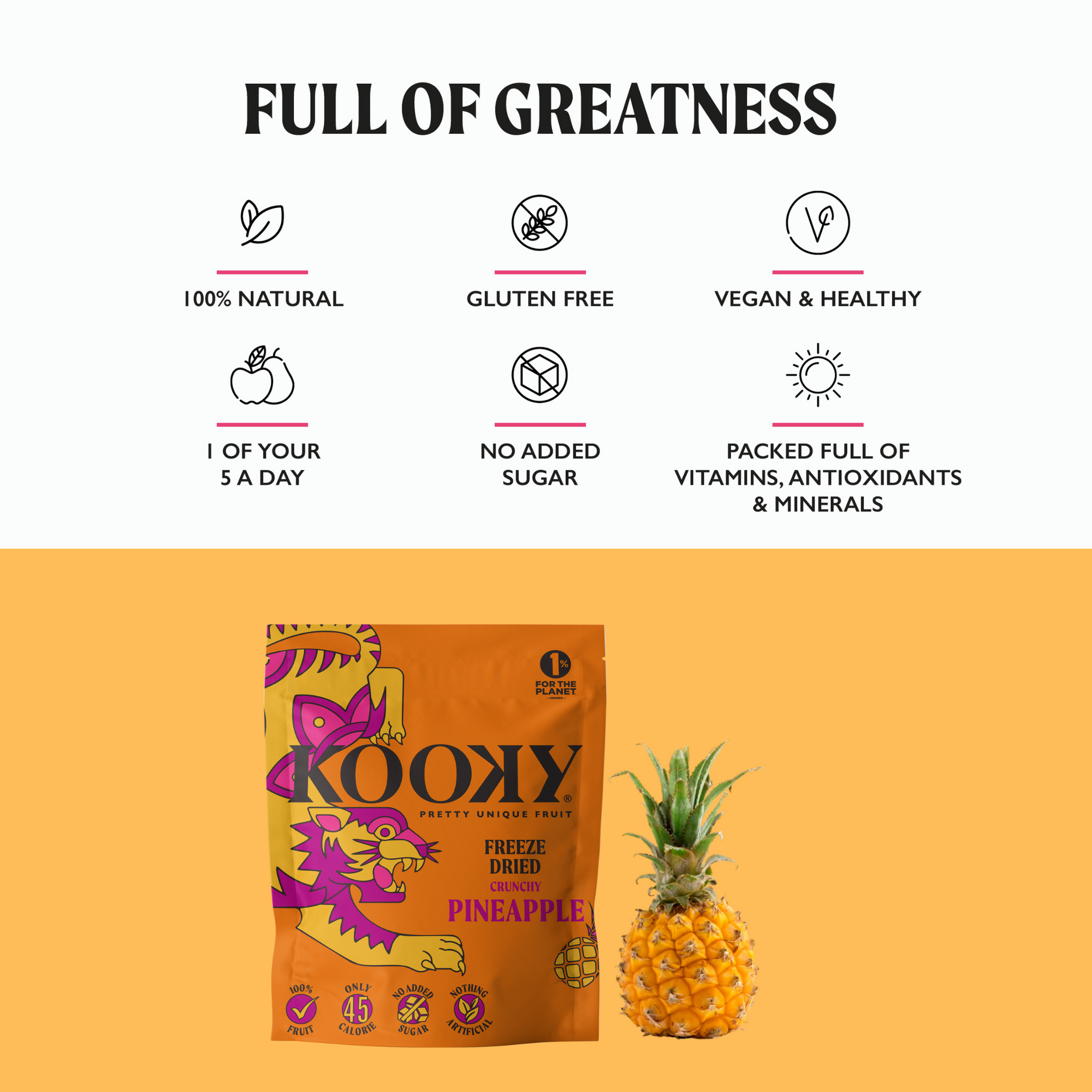 5pk - Freeze Dried Pineapple