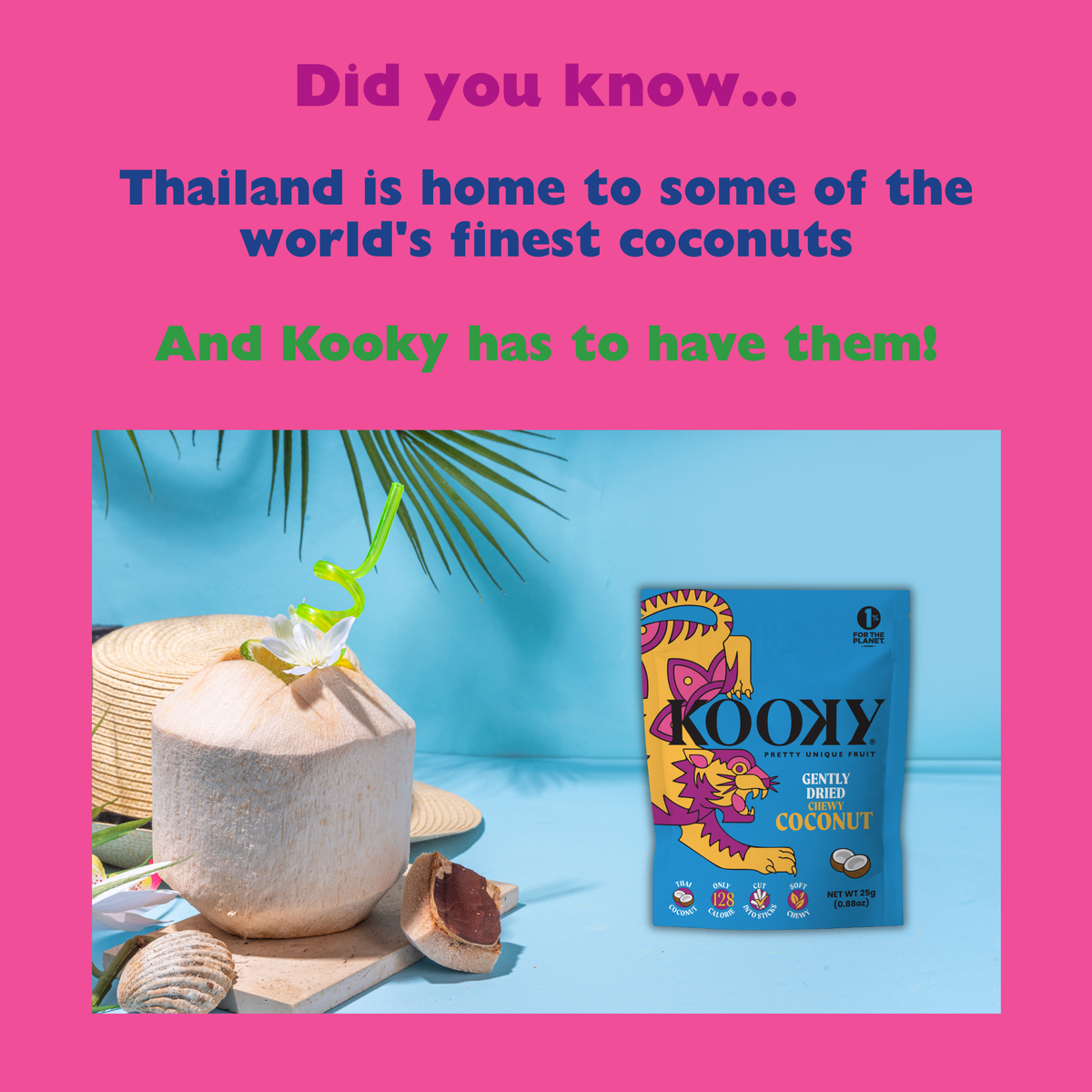 12pk - Gently Dried Coconut