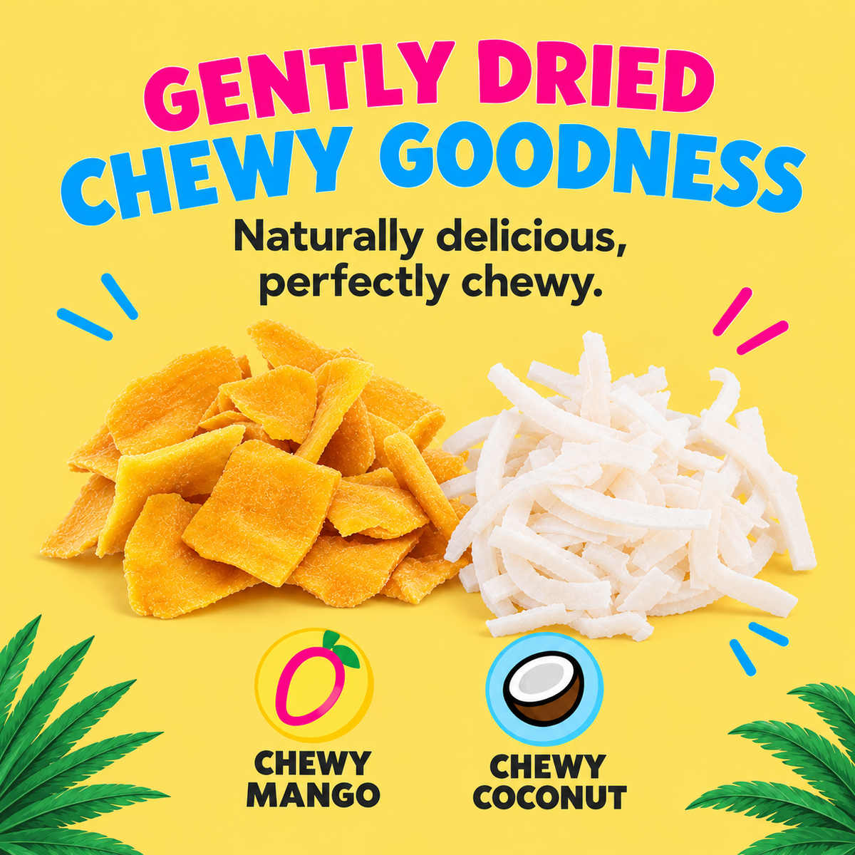 12pk - Family Gently Dried Box