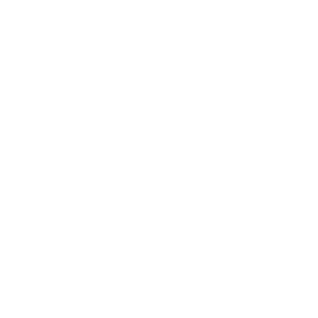 Custom Logo
